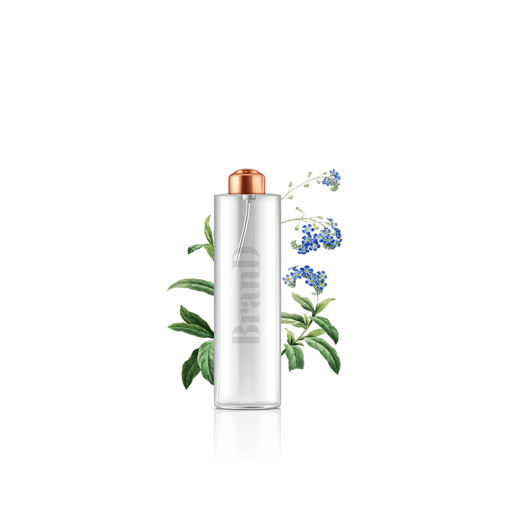 Strawberry-Milk گلدان آپارتمانی تیلادنسیا - تصویر 1