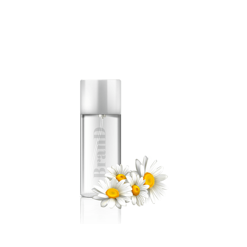 img-15 گلدان آپارتمانی یوکا بدون ساقه - تصویر 1