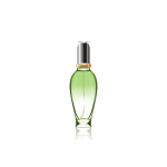 گلدان آپارتمانی زاموفیلیا - تصویر 3